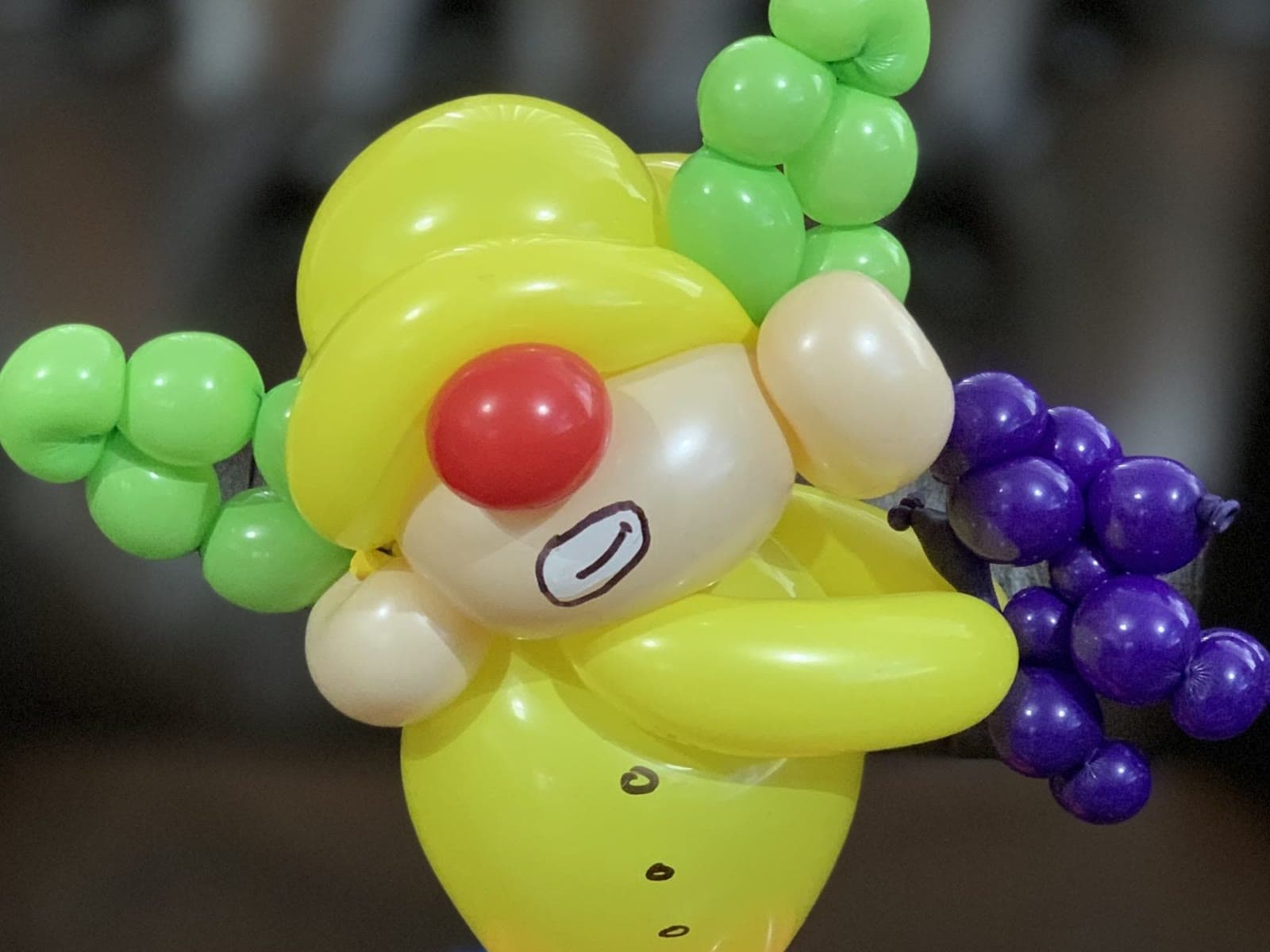 Sunset Balloon Lab — photo 3