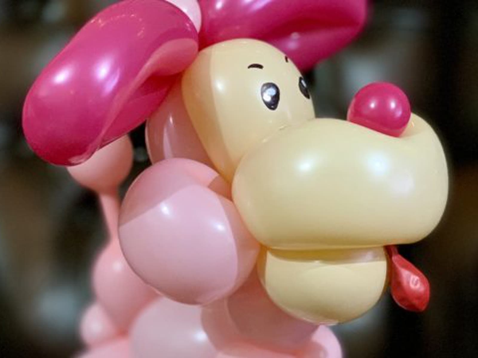 Sunset Balloon Lab, kids party entertainer