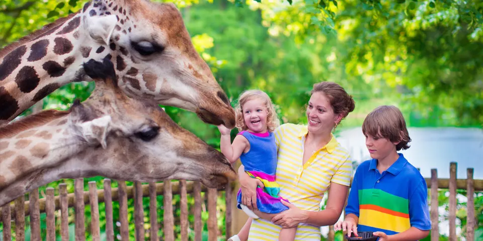 Zoo Atlanta