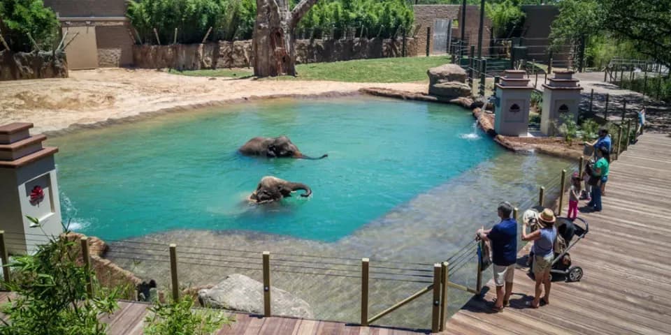 Houston Zoo
